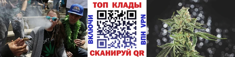 Где купить наркоту Реж Кокаин  МЕТАДОН  Alpha PVP  АМФЕТАМИН  Мефедрон  ГАШИШ  Бошки Шишки 
