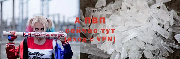 шишки Богданович
