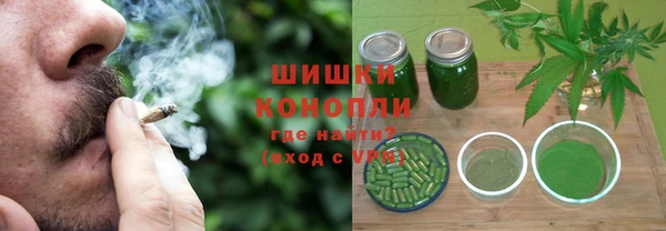 шишки Богданович