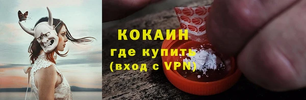 шишки Богданович