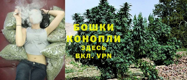 спайс Богородск
