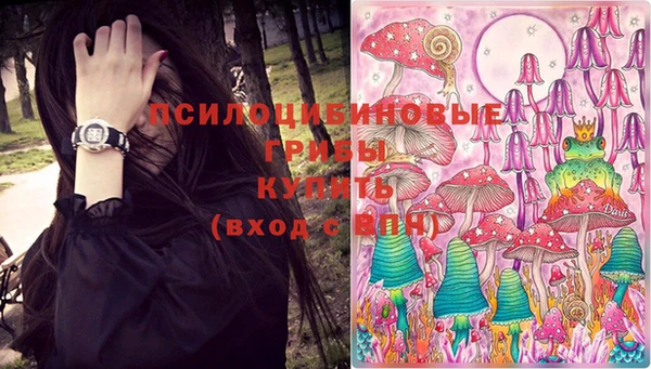 трава Богородицк