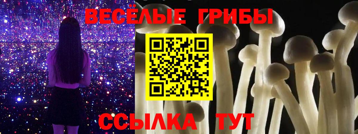 Псилоцибиновые грибы прущие грибы  Галлюциногенные грибы Magic Shrooms  Реж  Вход с VPN 